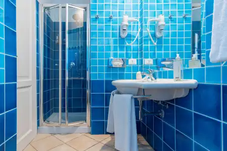 Best Western Blumarea - 65