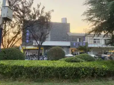 Xingcai - 9