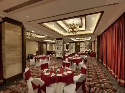 The Golden Palms & Spa Delhi - 10