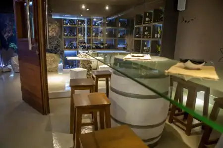 MC San José - 17