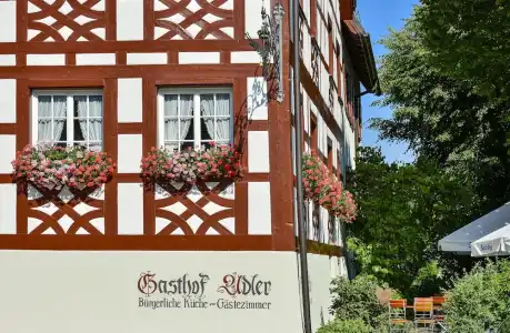 Hotel-Gasthof Adler - 0