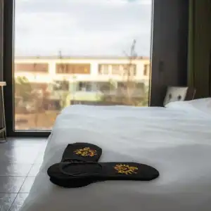 Gambino Cincinnati - 7