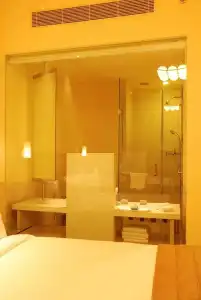 Sarovar Portico Naraina Delhi - 34