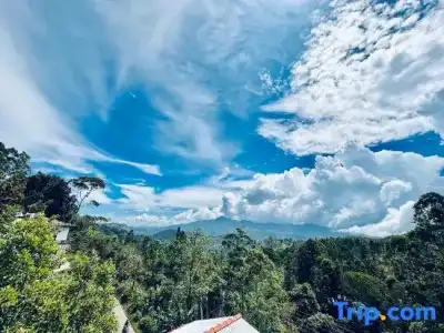 Nature Life Guest Inn - 33