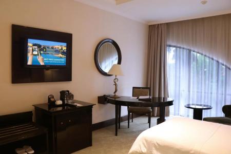 The Papandayan - 27