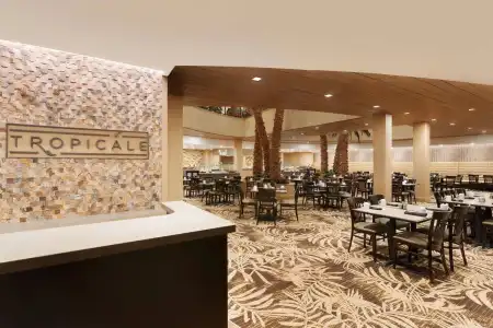 Caribe Royale Orlando - 11