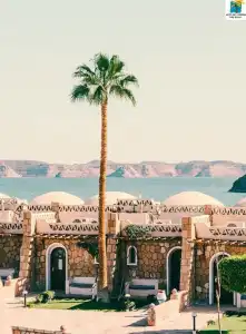 Seti Abu Simbel Lake Resort - 44