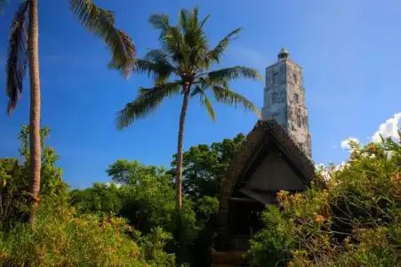 Chumbe Island Coral Park - 3