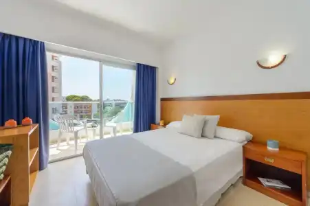 Vibra Palma Cactus - 30