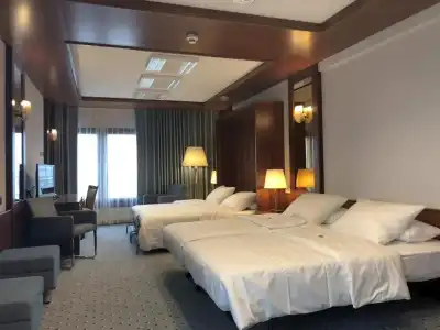 Maritim Darmstadt - 43