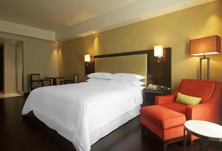 Radisson Agra - 2