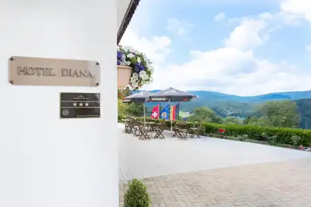 Diana Feldberg - 16