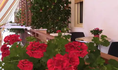 Solaris B&B - 8