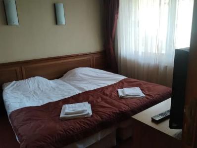 Sofia - 18