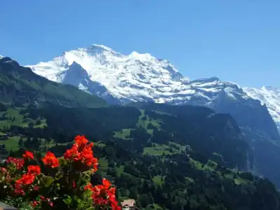 Bellevue - Traditional Swiss Hideaway - 33