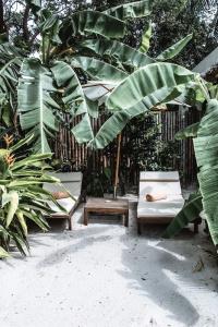Zanzibar White Sand Luxury Villas & Spa - 74