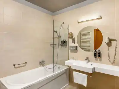 Mercure Szekesfehervar Magyar Kiraly - 58