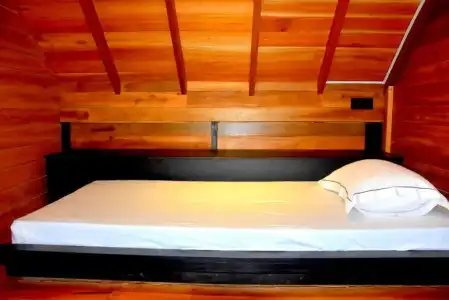 Manuka Hillwood - 12