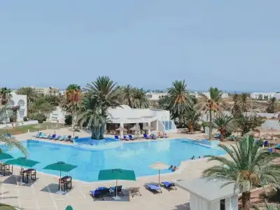 Bougainvillier Djerba - 19