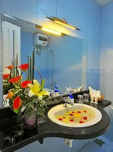Ideal Hue - 61