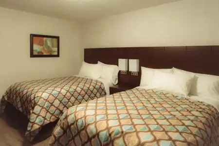 Stay Inn - 2