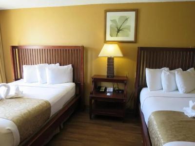 B&B Orlando International Drive Near Universal - Newly Renovated! - 95