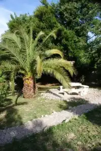 Hôtel l'Amandière - 17