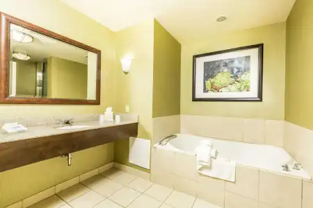 Hilton Garden Inn St. George - 87