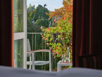 Steigenberger Inselhotel - 23