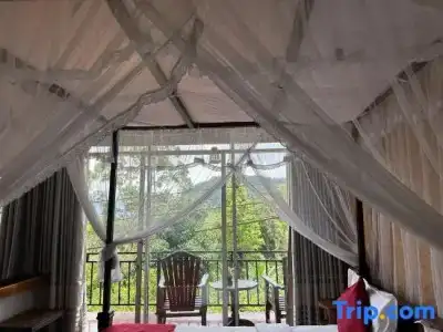 Nature Life Guest Inn - 82