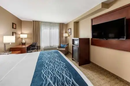 Comfort Inn & Suites Ventura Beach - 33