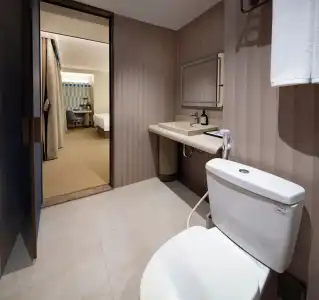 Hanting Ho Chi Minh City Downtown (汉庭国际胡志明市中心酒店) - 187
