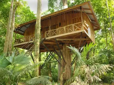 Khao Sok Nature Resort - 11