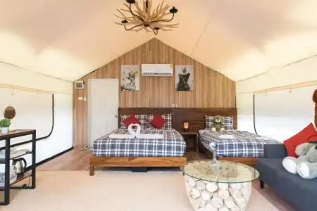 Mont blanc base camp khao yai - 82