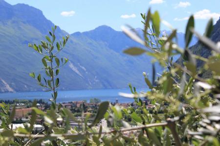 Maso Tobel Riva del Garda - 14