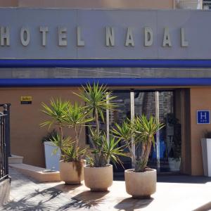 Nadal - 11