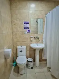 chveni sakhli - 12