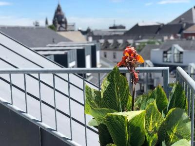 Brunfels, in the Unbound Collection by Hyatt - 31