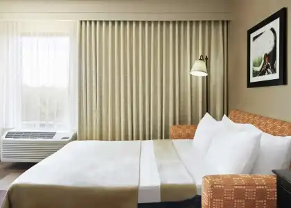 Hampton Inn Dallas-Irving-Las Colinas - 52