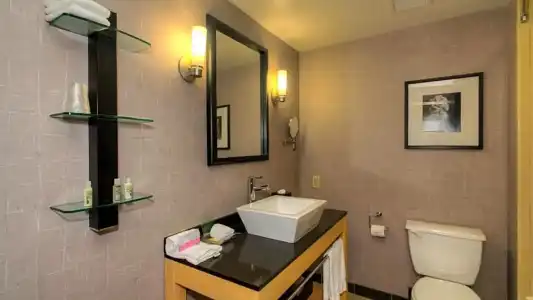 Holiday Inn Boise Airport by IHG - 63