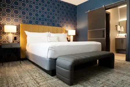 SpringHill Suites by Marriott Chicago Chinatown - 29