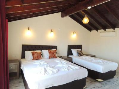 Villa Dreams - 56