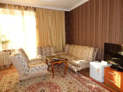 Mini Alikhan - 12