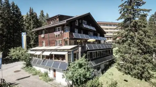 Arlenwald - 28