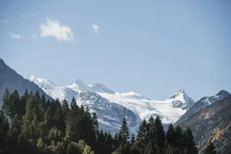 VitalEdelweiss - 73