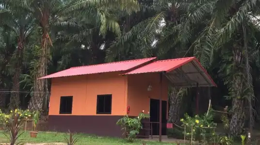 Khao Sok Evergreen House - 73