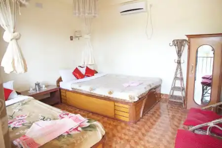 Jungle Wildlife Camp - 0