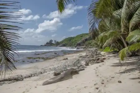 Domaine Desaubin Luxury Villas - 20