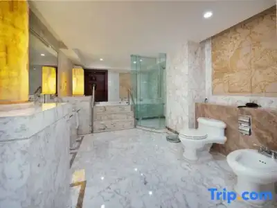 Chongqing Empark Grand - 60
