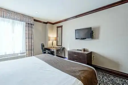 Woodbine and Suites - 10